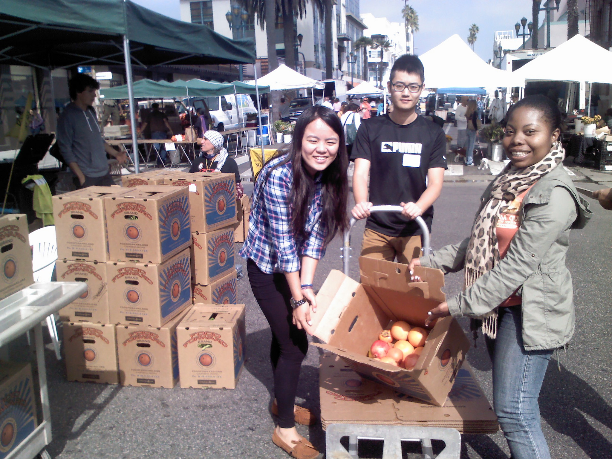 Our volunteers show off a healthy haul