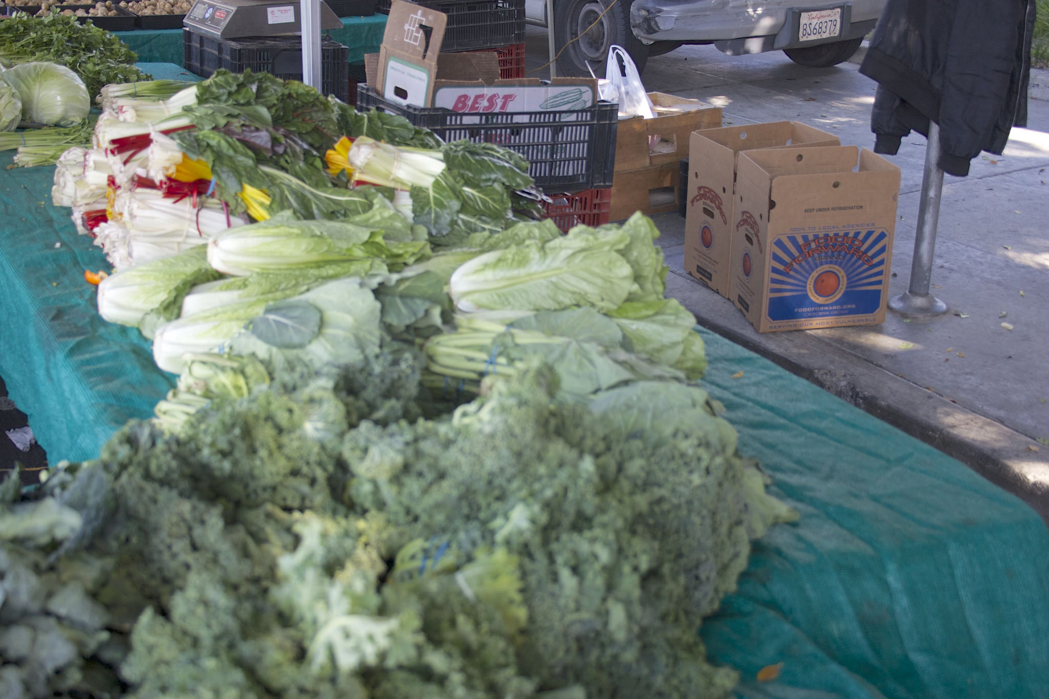 A table full of veggies at the farmers market