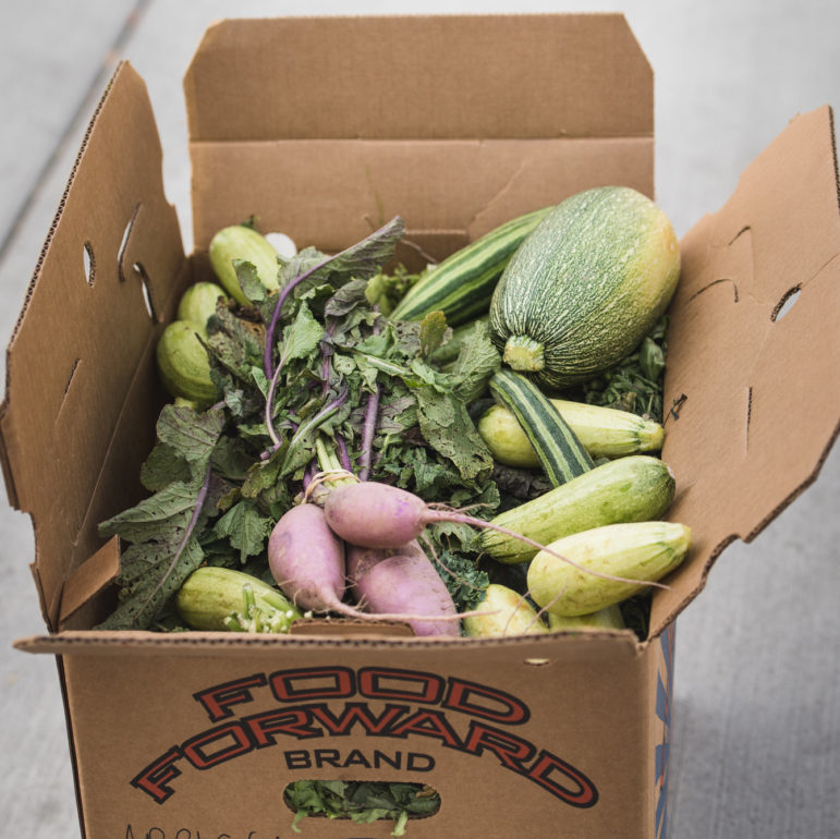 A Food Forward box full of produce donations