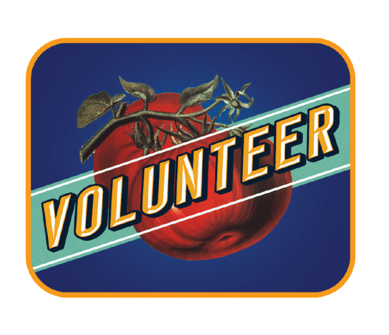 Volunteer