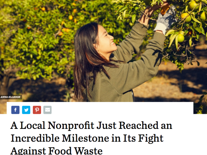 Captura de pantalla de un sitio de noticias con titular e imagen de portada de una mujer sonriendo y recogiendo cítricos de un árbol. 