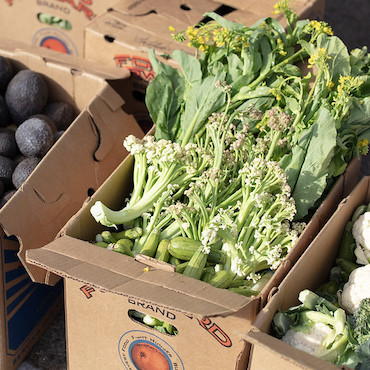 Box full of vegetables
