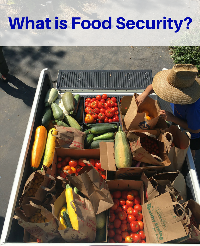 what-is-food-insecurity-food-security-food-forward