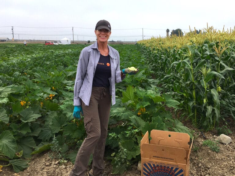 Carol holding a squash in front of rows of squash and corn plants